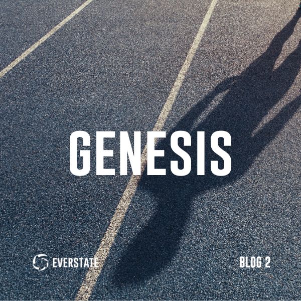 Chapter 1: Genesis