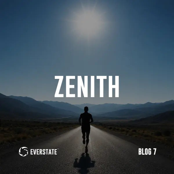 Chapter 2: Zenith